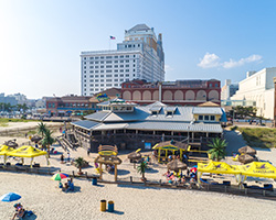 Landshark Bar & Grill Beach View