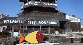 atlantic-city-aquarium
