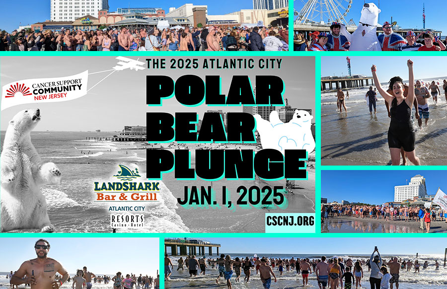 33rd Annual Polar Bear Plunge