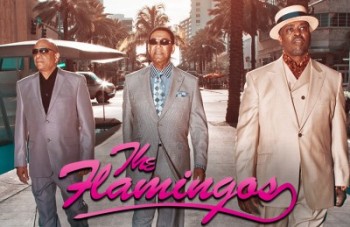 the-flamingos-resorts
