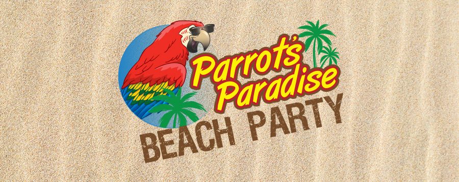 parrots paradise - beach concert - Things to do in Atlantic City