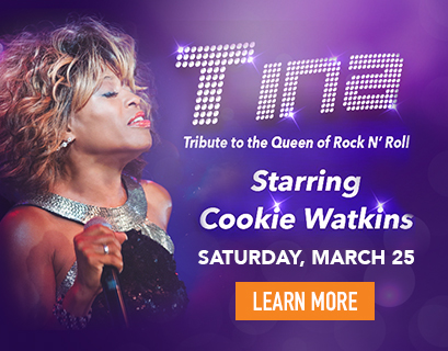 tina turner atlantic city entertainment