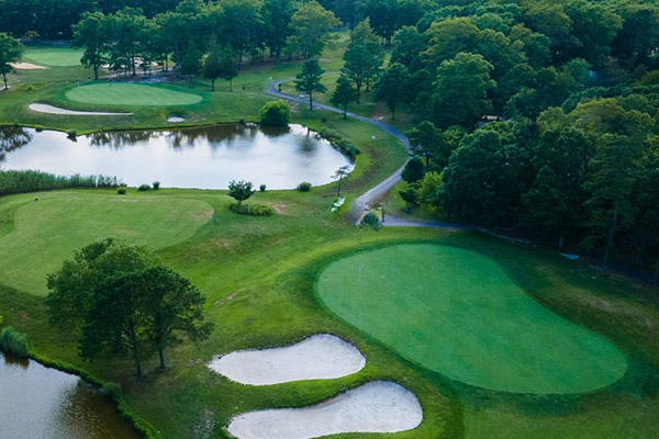 Blue Heron Pines