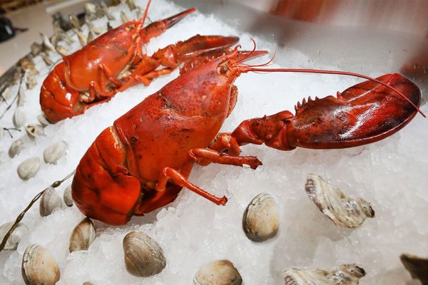 seafood atlantic city lobster